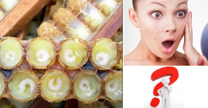 Thoa Sữa Ong Chúa Qua Đêm