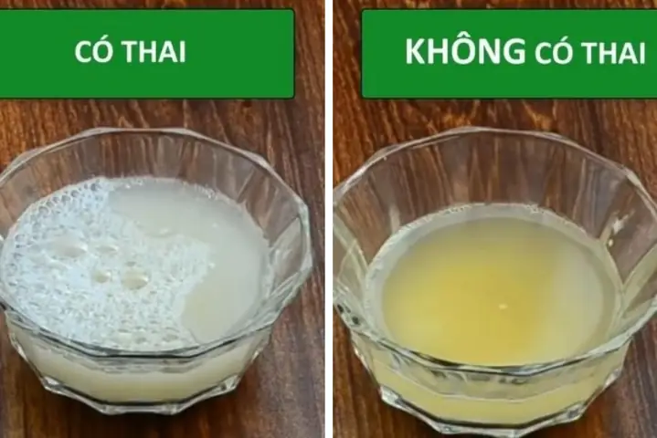 Thử Có Thai Bằng Kem Đánh Răng