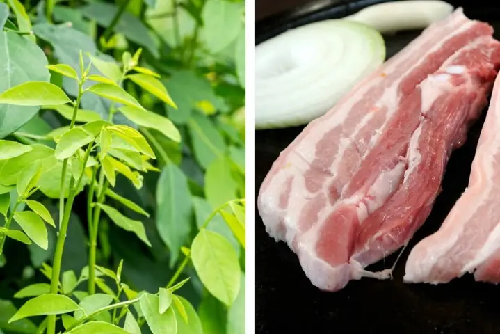 Thức Ăn Bổ Máu Cho Trẻ Nhỏ Thức Ăn Bổ Máu Cho Trẻ Nhỏ