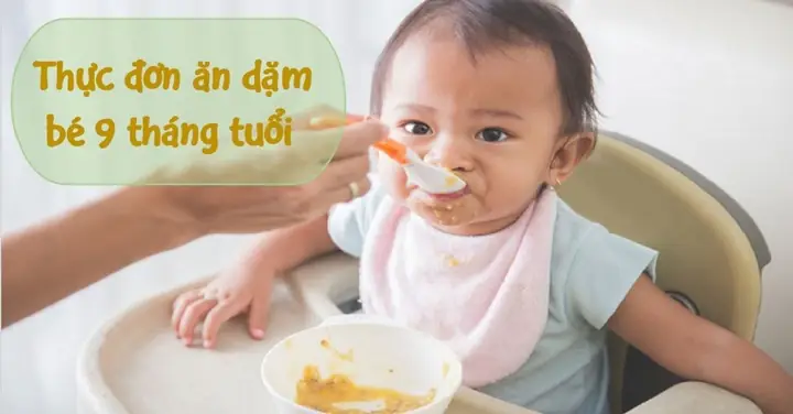 Thực Đơn 1 Ngày Cho Bé 9 Tháng Tuổi