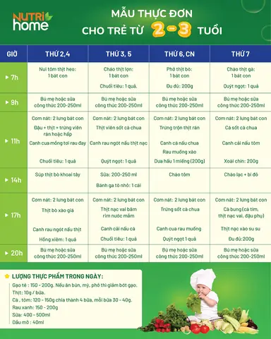 Thực Đơn Ăn Cơm Cho Bé 2 Tuổi