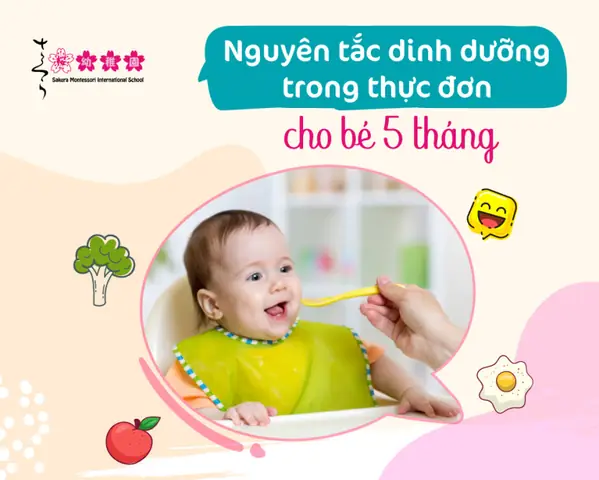 Thực Đơn Ăn Dặm Cho Bé 5.5 Tháng