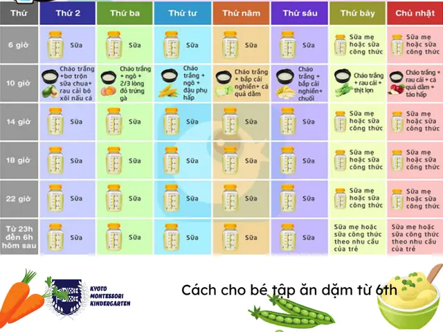 Thực Đơn Ăn Dặm Trẻ 6 Tháng
