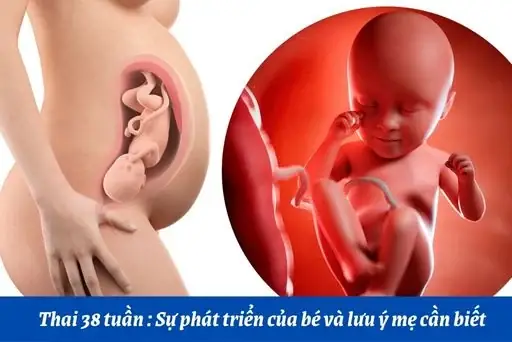 Thực Đơn Cho Bà Bầu Tuần 38