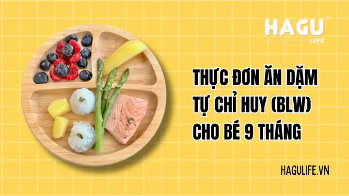 Thực Đơn Cho Bé 9 Tháng Ăn Dặm Thực Đơn Cho Bé 9 Tháng Ăn Dặm