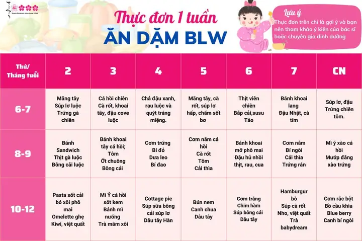 Thực Đơn Cho Bé Mới Bắt Đầu Ăn Dặm
