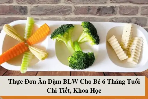 Thực Đơn Cho Trẻ Ăn Dặm Từ 6 Tháng Tuổi