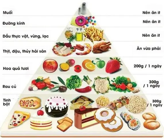 Thực Đơn Tăng Cân Cho Bà Bầu