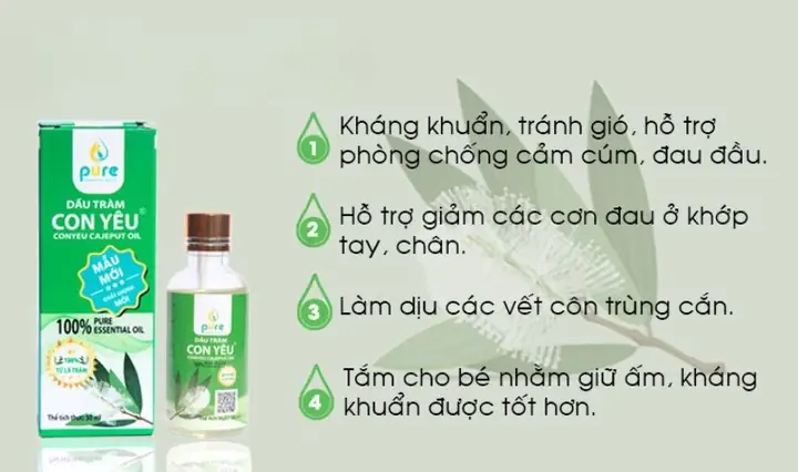 Thương Hiệu Dầu Tràm Nào Tốt