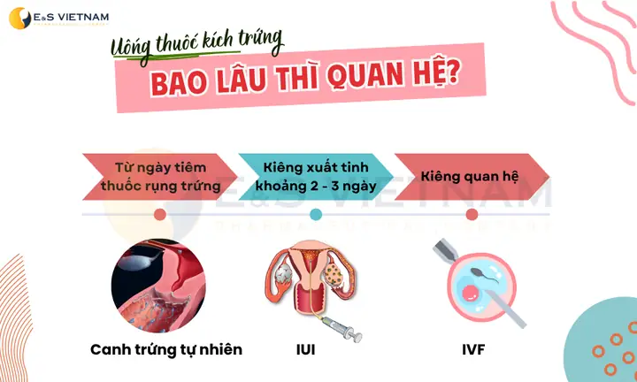 Tiêm Thuốc Rụng Trứng Sau Bao Lâu Thì Thử Que