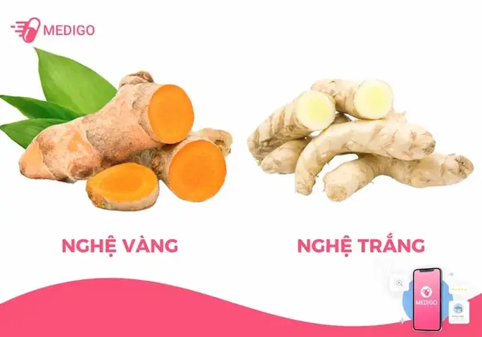 Tinh Bột Nghệ Trắng Hay Vàng Tốt Hơn