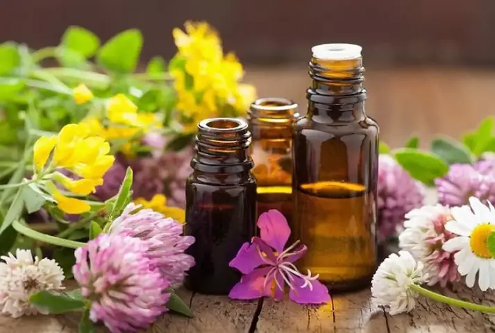 Tinh Dầu Thực Vật Là Gì Tinh Dầu Thực Vật Là Gì