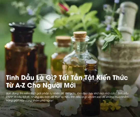 Tinh Dầu Thực Vật Là Gì Tinh Dầu Thực Vật Là Gì