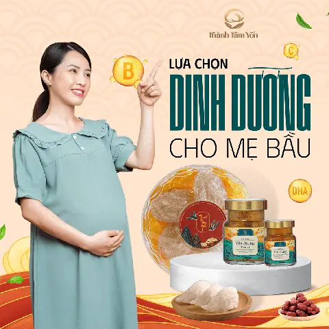 Tổ Yến Có Tốt Cho Bà Bầu Không