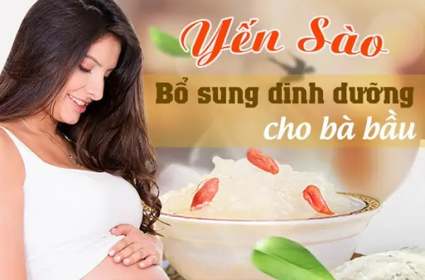 Tổ Yến Có Tốt Cho Bà Bầu Không