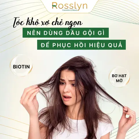 Tóc Khô Nên Dùng Dầu Gội Gì