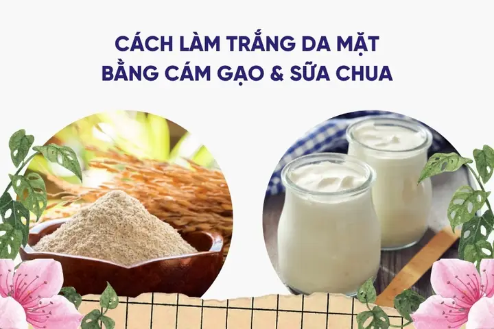 Trắng Da Mặt Bằng Cám Gạo