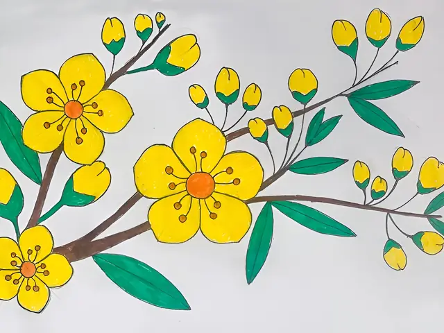 Tranh Tô Màu Hoa Mai Ngày Tết