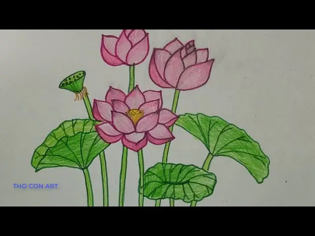 Tranh Vẽ Hoa Sen Đơn Giản Mà Đẹp