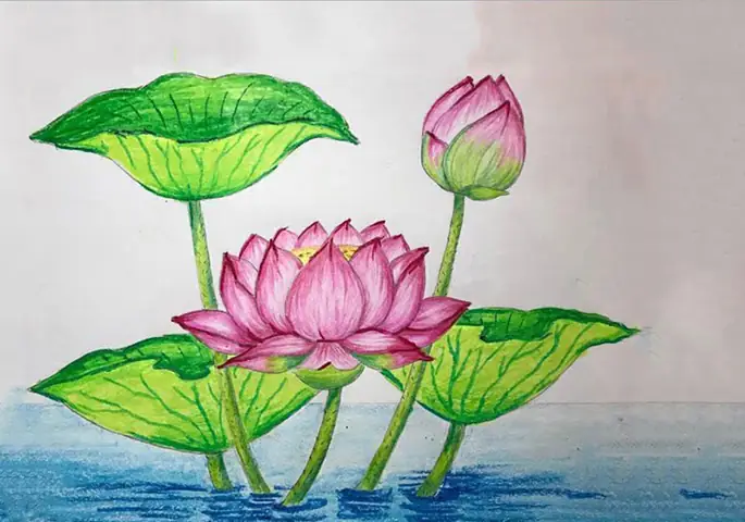 Tranh Vẽ Hoa Sen Đơn Giản Mà Đẹp