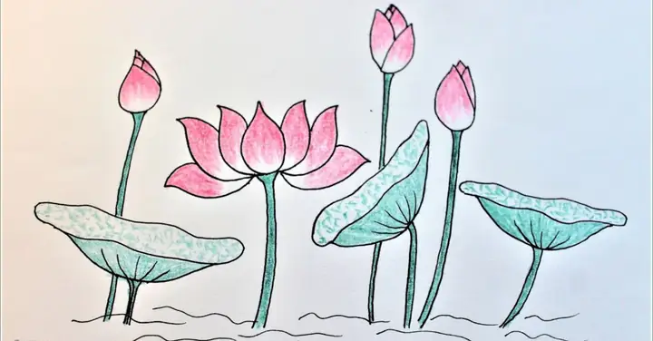 Tranh Vẽ Hoa Sen Đơn Giản Mà Đẹp
