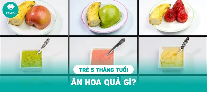 Trẻ 1 5 Tháng Tuổi Biết Làm Gì Trẻ 1 5 Tháng Tuổi Biết Làm Gì