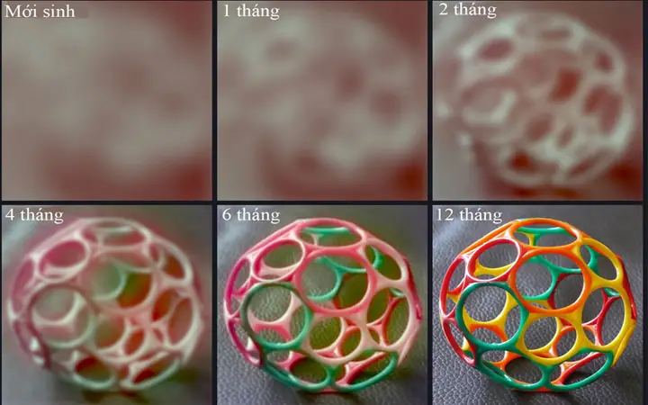 Trẻ 2 Tháng Nhìn Được Bao Xa