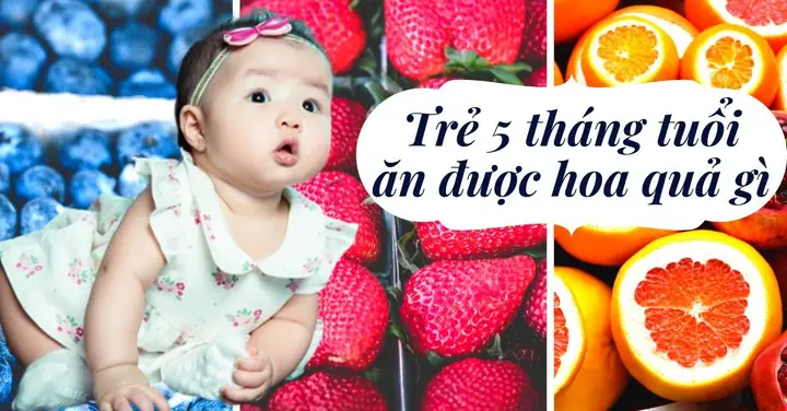 Trẻ 5 Tháng Ăn Được Hoa Quả Gì