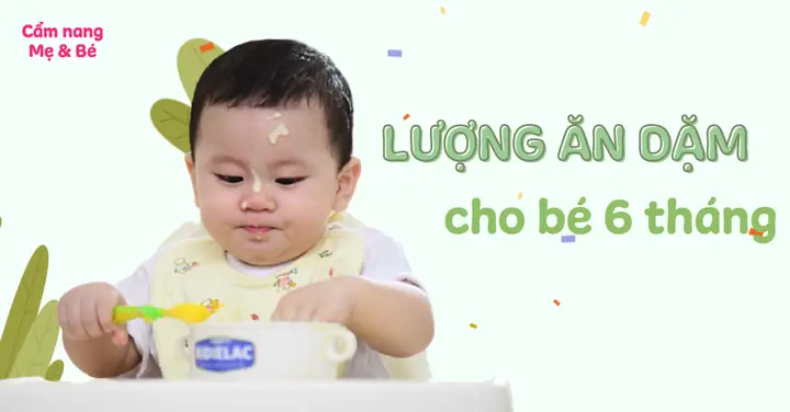 Trẻ 6 Tháng Ăn Bao Nhiêu Bơ Là Đủ