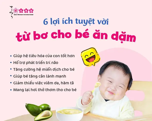 Trẻ 6 Tháng Ăn Được Thịt Bò Chưa