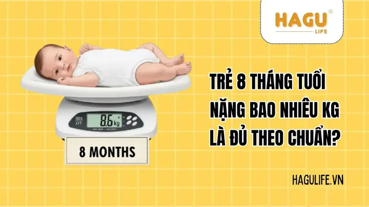 Trẻ 8 Tháng Tuổi An Bao Nhiêu La Đủ