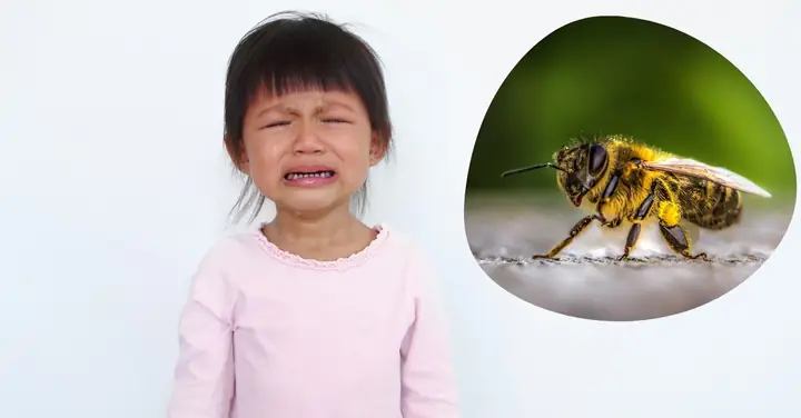 Trẻ Bị Ong Đốt Phát Sốt
