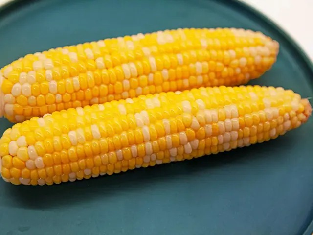 Trẻ Em Ăn Bắp Có Tốt Không