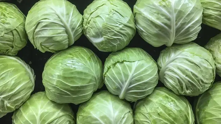 Trẻ Em Ăn Bắp Có Tốt Không Trẻ Em Ăn Bắp Có Tốt Không