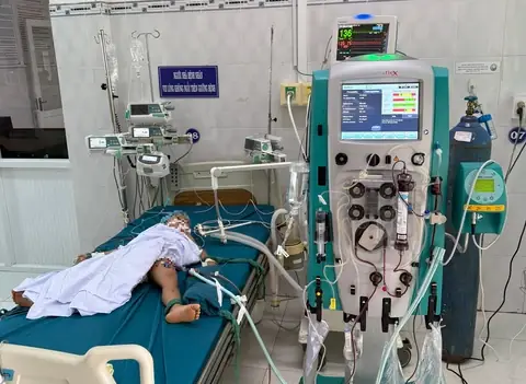 Trẻ Em Bị Ong Vò Vẽ Đốt