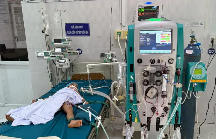 Trẻ Em Bị Ong Vò Vẽ Đốt