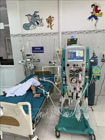 Trẻ Em Bị Ong Vò Vẽ Đốt