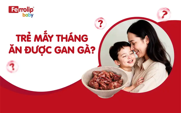 Trẻ Mấy Tháng Ăn Được Gan Gà Trẻ Mấy Tháng Ăn Được Gan Gà