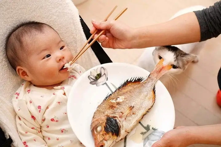 Trẻ Mấy Tháng Ăn Được Thịt Cá Trẻ Mấy Tháng Ăn Được Thịt Cá