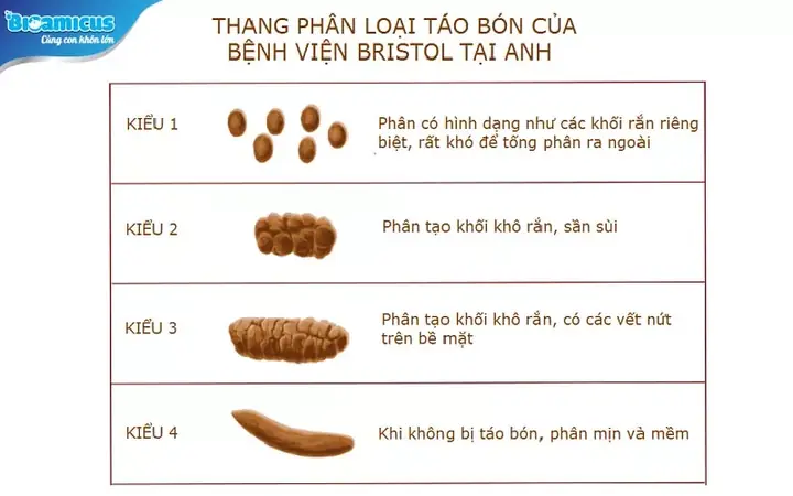Trẻ Mới Ăn Dặm Bị Táo Bón