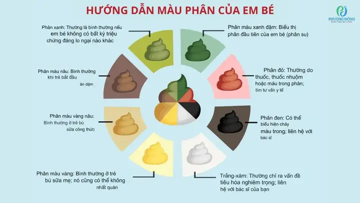 Trẻ Sơ Sinh Uống Sữa Ngoài Trẻ Sơ Sinh Uống Sữa Ngoài