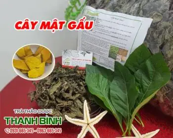 Trị Mụn Ở Đâu Tốt Nhất Hà Nội