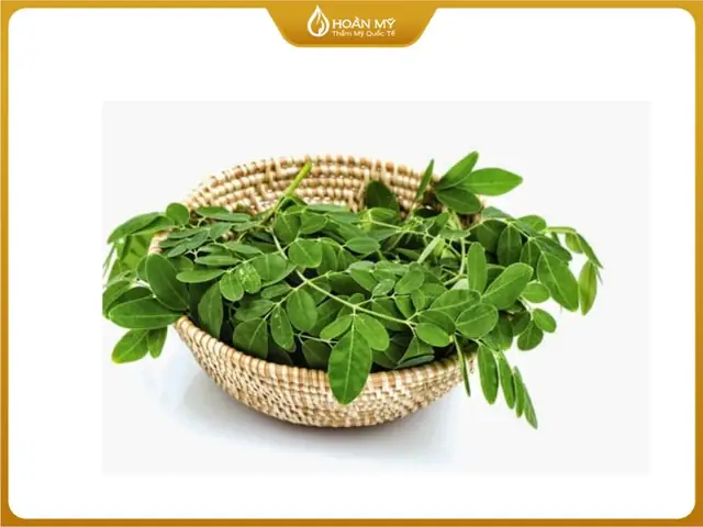 Trị Nám Bằng Cây Chùm Ngây