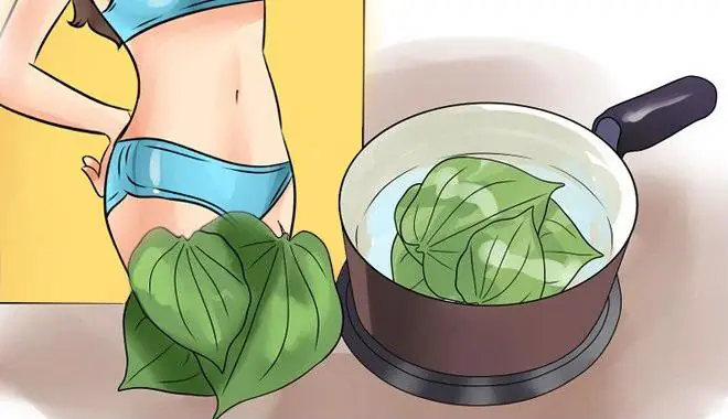 Trị Thâm Bằng Lá Trầu Không