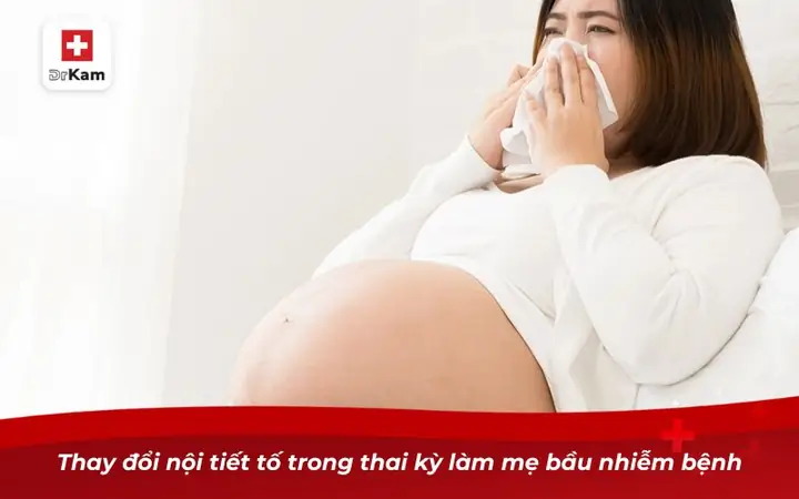 Trị Viêm Họng Cho Mẹ Bầu