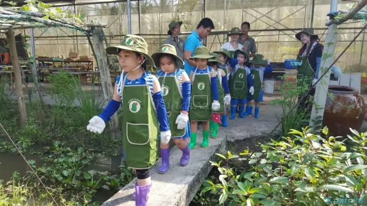 Truong Mam Non Tu Thuc Quan 5