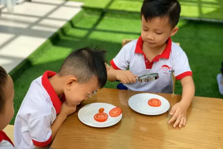 Trường Mầm Non Tư Thục Tốt Ở Quận Gò Vấp
