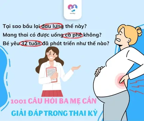 Ứng Dụng Lần Đầu Làm Mẹ