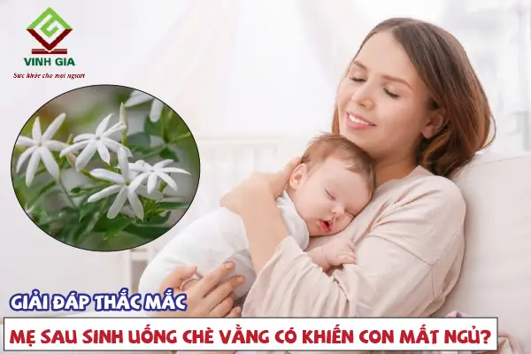 Uống Cao Chè Vằng Có Mất Ngủ Không