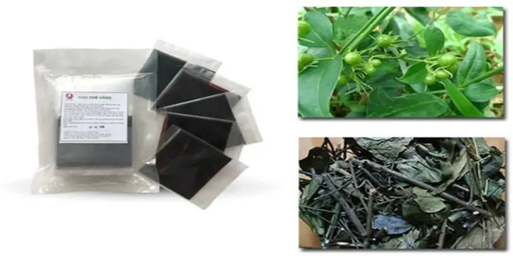 Uống Cao Chè Vằng Có Mất Ngủ Không